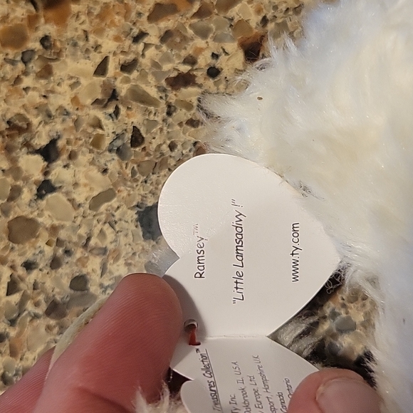 1993 bundle of Ty Beanie babies with 4 bonus non beanie Baby dolls plus case - Picture 10 of 16